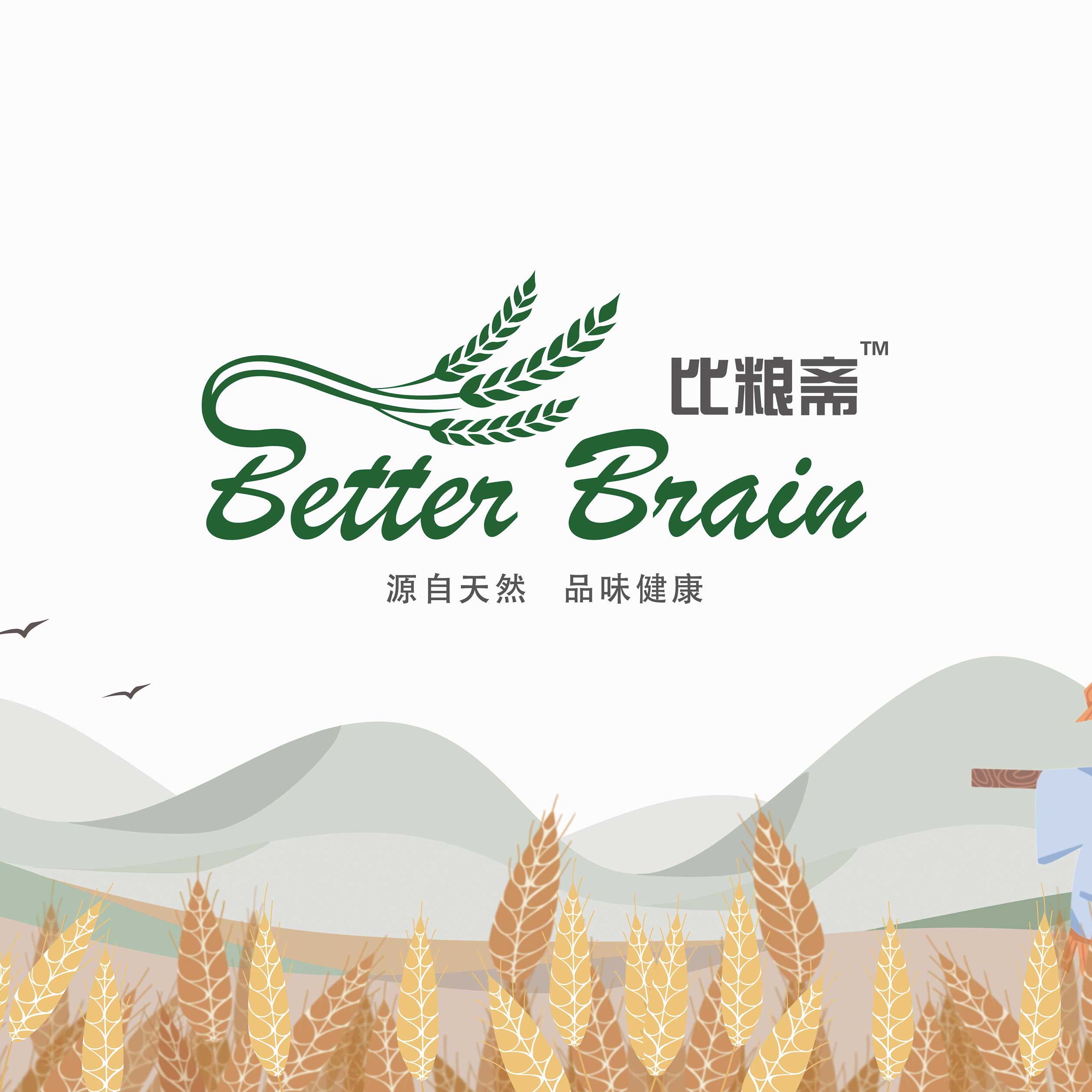 比粮斋包装设计